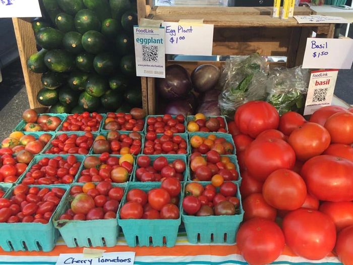 Local Produce, Microgreens CSA Double Oak Farm Columbus, Indiana